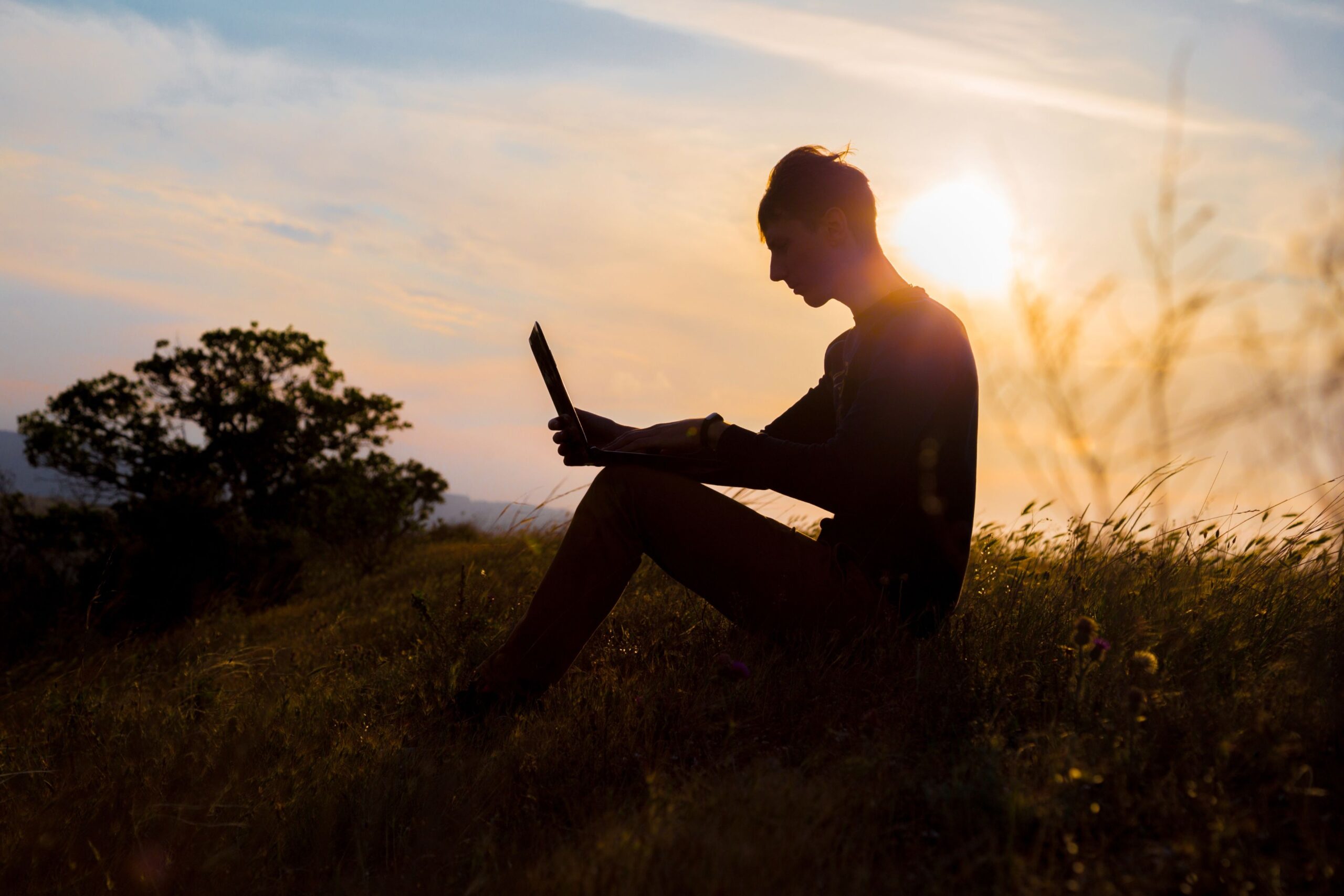 A person, studying for their BA Hons English London, sits on grass outdoors at sunset, working on a laptop. The colorful sky and distant tree create a peaceful backdrop as they focus intently and appear relaxed.