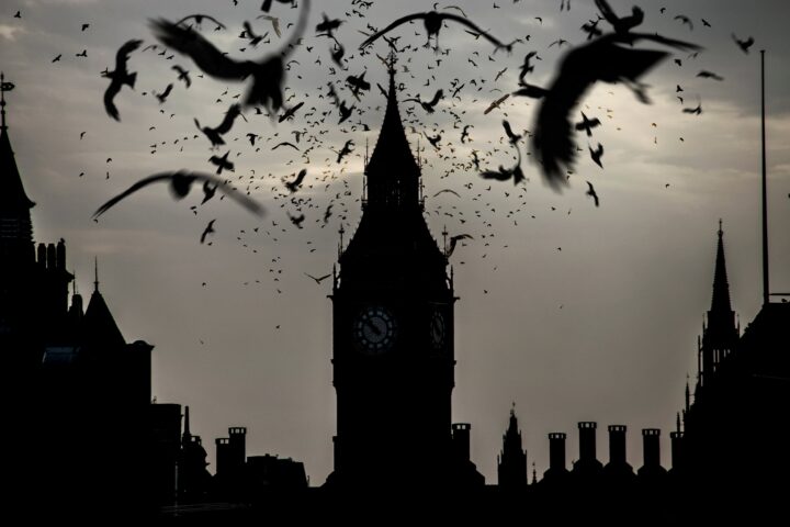 Silhouette of Big Ben and surrounding buildings at dusk, with a large flock of birds flying across the cloudy sky—a dramatic scene that captures the spirit of London, home to many pursuing an LLB (Hons) Law London degree.