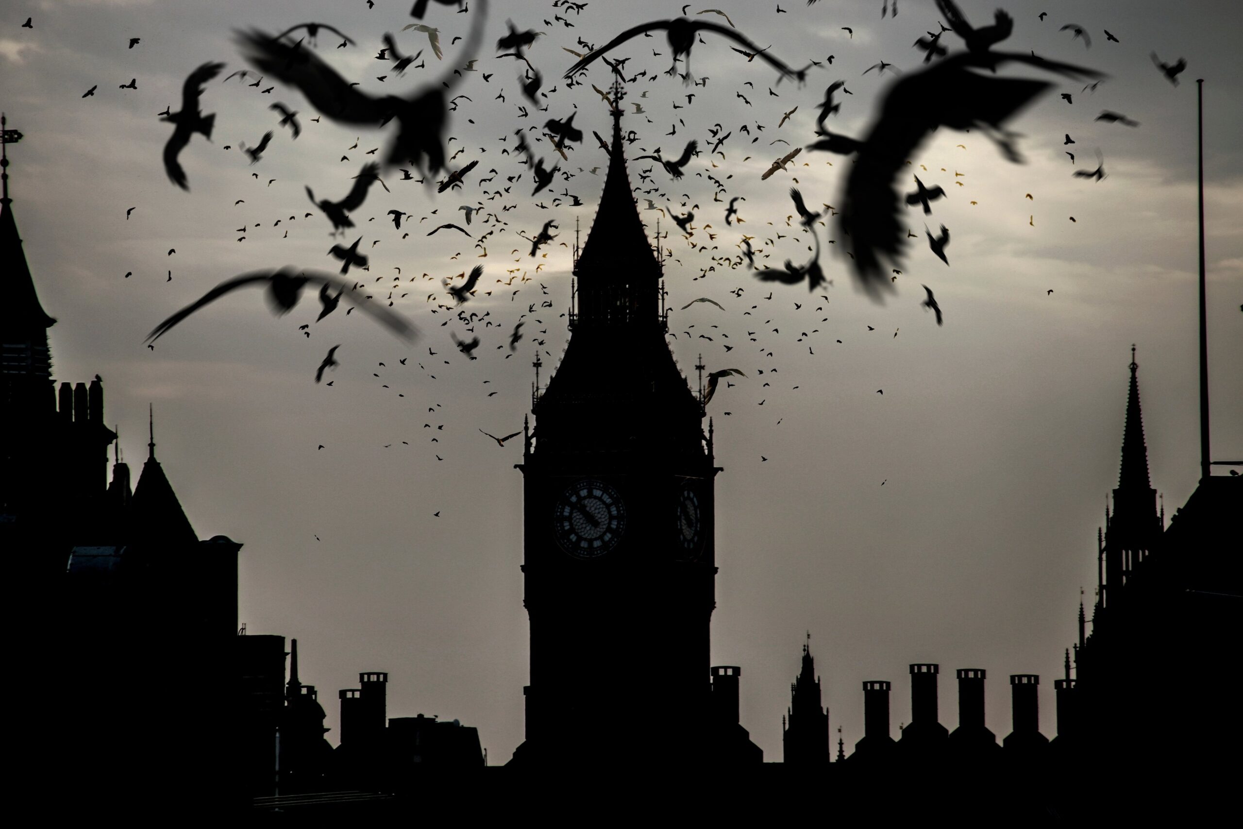Silhouette of Big Ben and surrounding buildings at dusk, with a large flock of birds flying across the cloudy sky—a dramatic scene that captures the spirit of London, home to many pursuing an LLB (Hons) Law London degree.