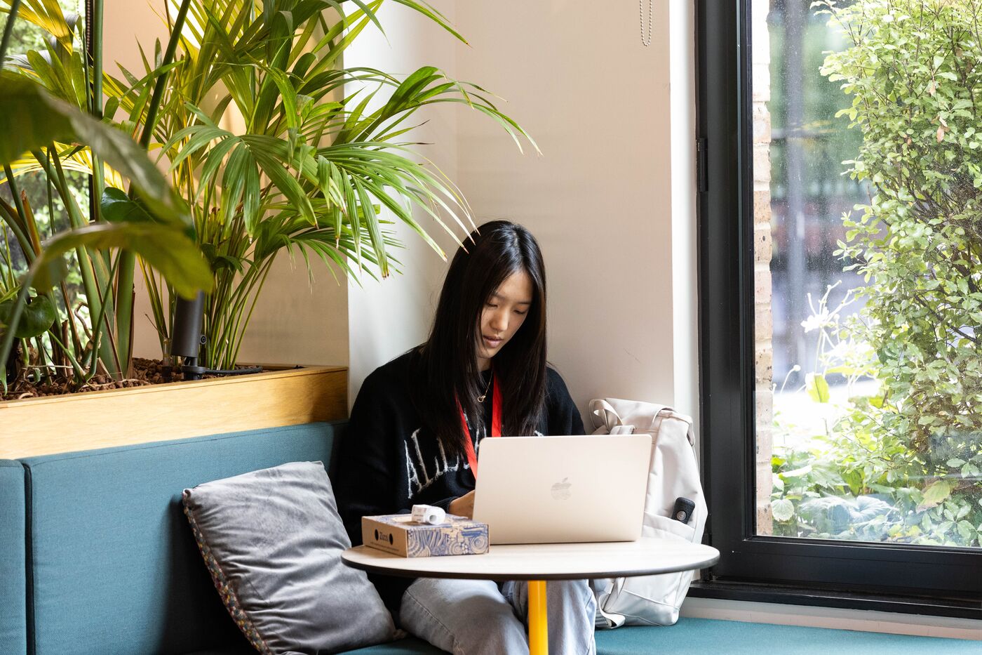 A person with long hair sits on a teal sofa, working on a laptop placed on a round table. They are in a bright room with large windows, surrounded by lush green plants. A tissue box sits on the table beside them.