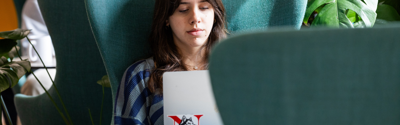 A person with long dark hair is sitting in a cozy chair, working on a laptop. The laptop has a sticker on it. Lush green plants surround the area, adding a touch of nature to the space.
