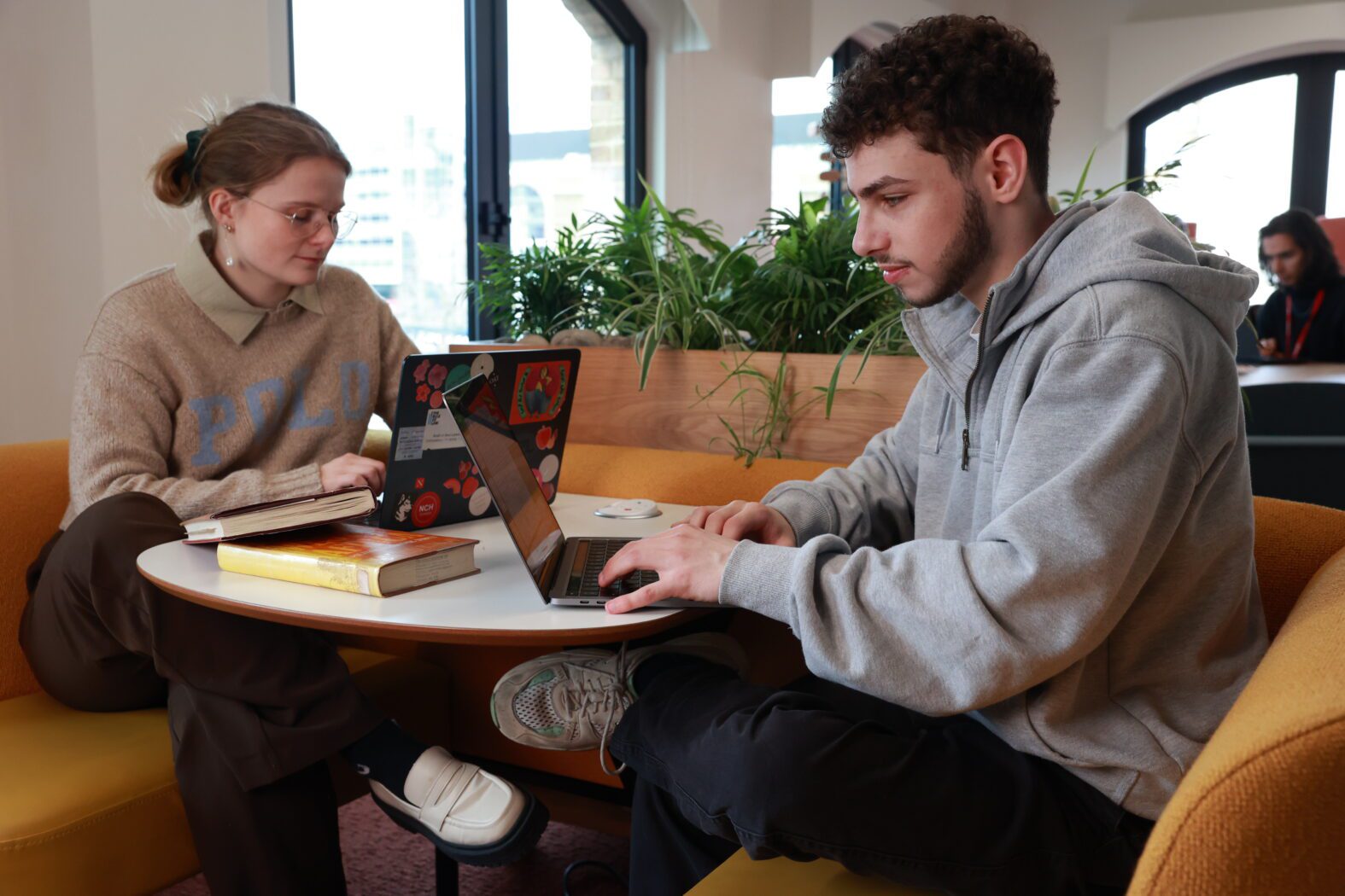 Two people sitting at a round table working on laptops. One wears a brown sweater and glasses; the other wears a gray hoodie. Books and a plant are on the table. They're in a room with large windows and natural light.