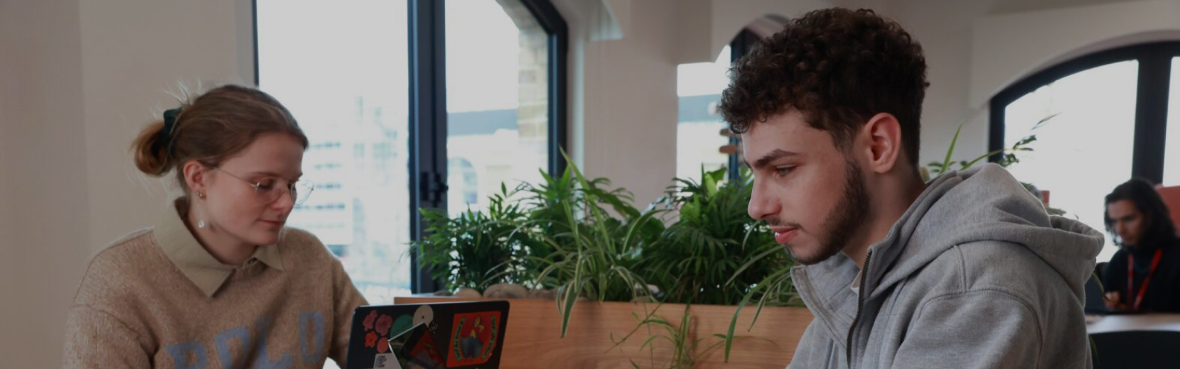 Two people sitting across from each other at a table with laptops. The person on the left wears glasses and a light sweater, while the person on the right has curly hair and wears a gray hoodie. There are plants and large windows in the background.