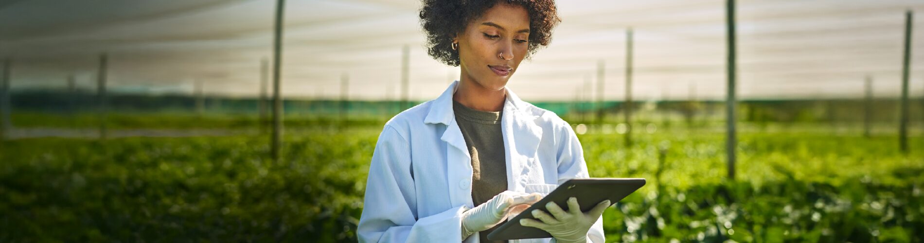 A person wearing a white lab coat stands in a greenhouse, holding and looking at a tablet. Lush green plants are visible in the background under a netted roof. The setting is bright and serene.
