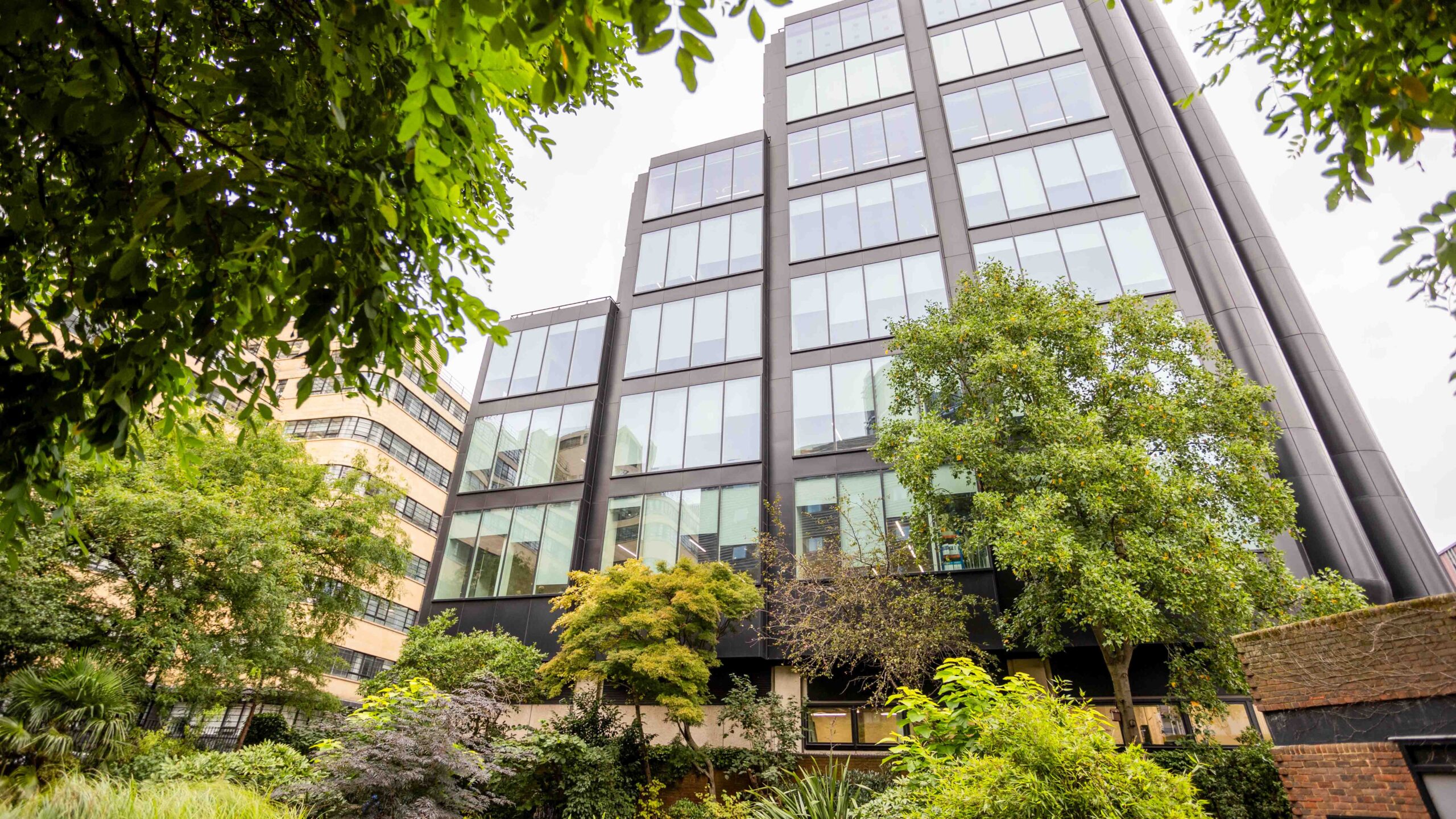 A modern office building with large glass windows is surrounded by lush green trees and plants, viewed from a low angle with leafy branches framing the top left corner.