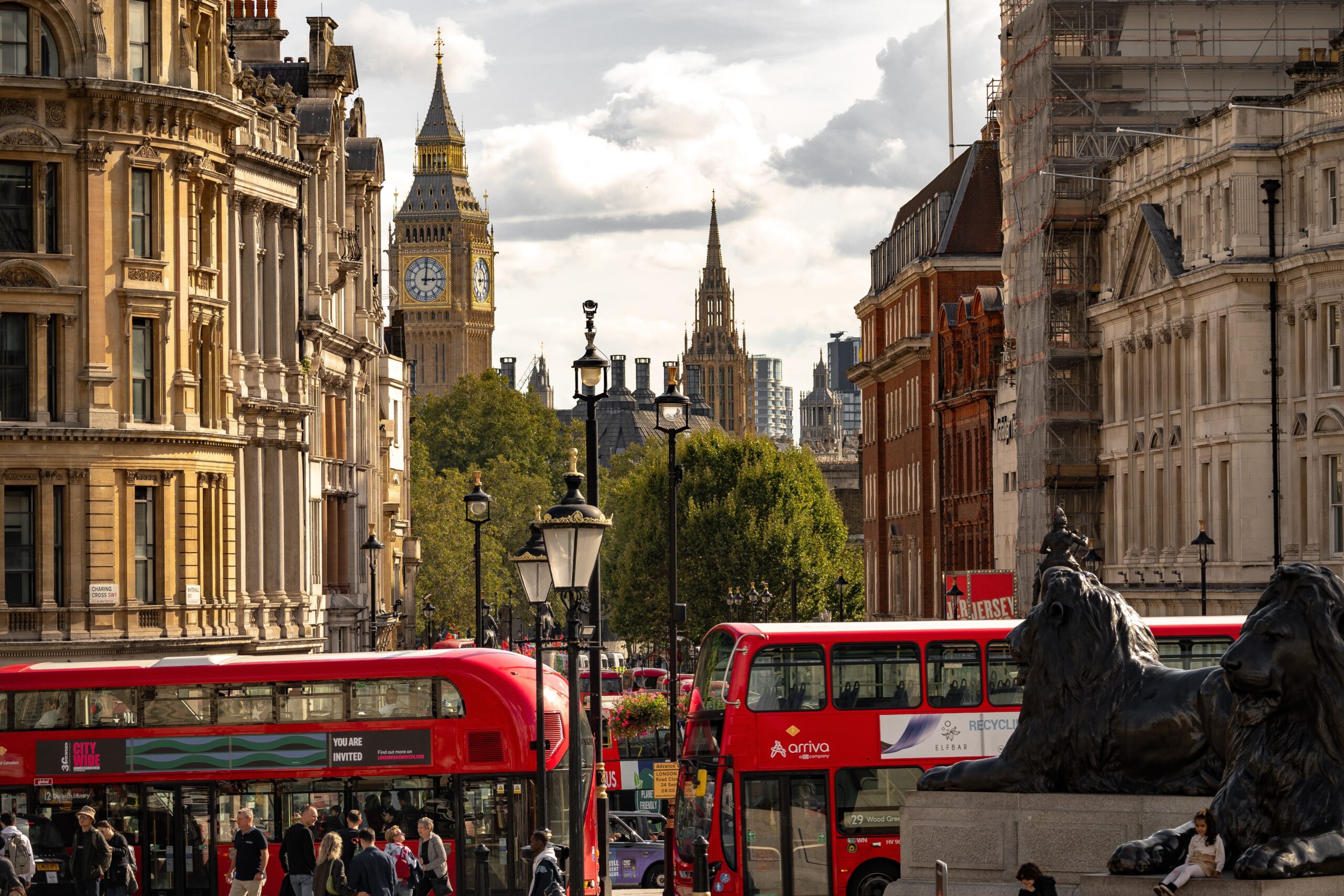 Where this degree can take you