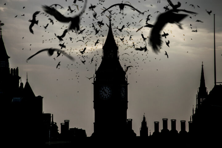Silhouette of Big Ben and surrounding buildings at dusk, with numerous birds flying across the dark, cloudy sky. The clock face is visible, highlighting the iconic London landmark.