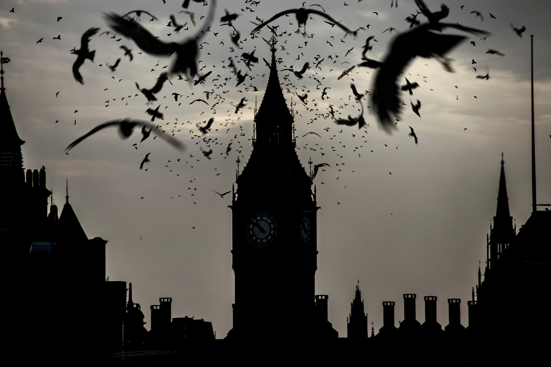 Silhouette of Big Ben and surrounding buildings at dusk, with numerous birds flying across the dark, cloudy sky. The clock face is visible, highlighting the iconic London landmark.