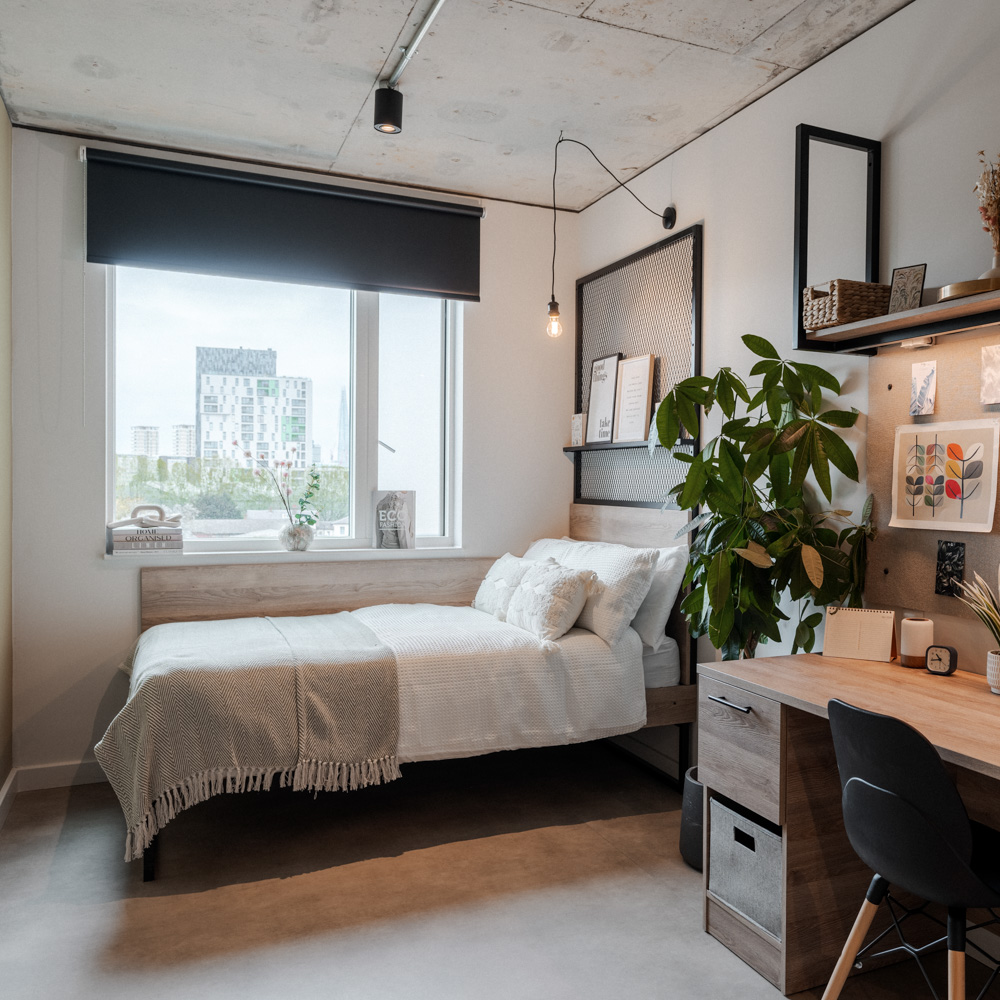 A modern, tidy accommodation features a single bed by a large window, a wooden desk with shelves, potted plant, and wall decor. The room is bright, with minimalist décor and a view of buildings outside.
