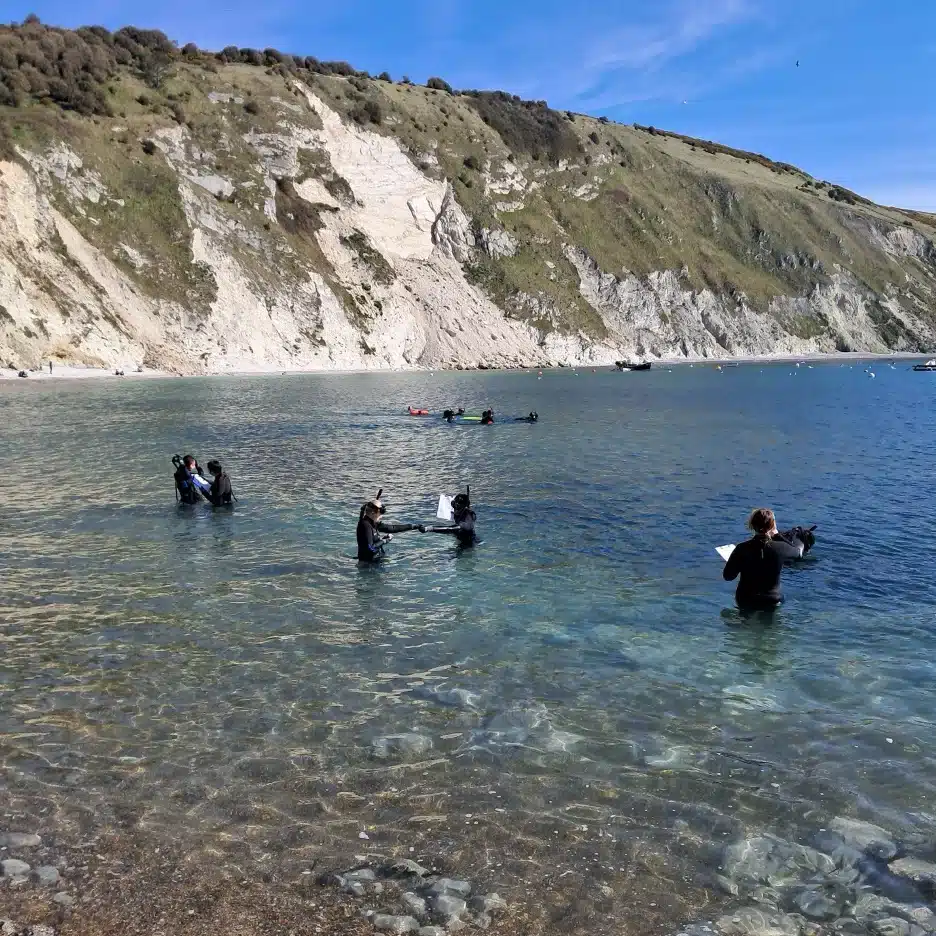 Several people in wetsuits stand and sit in the shallow, clear water of a bay with rocky hills and cliffs in the background under a blue sky. Some are holding objects, possibly preparing for water activities.
