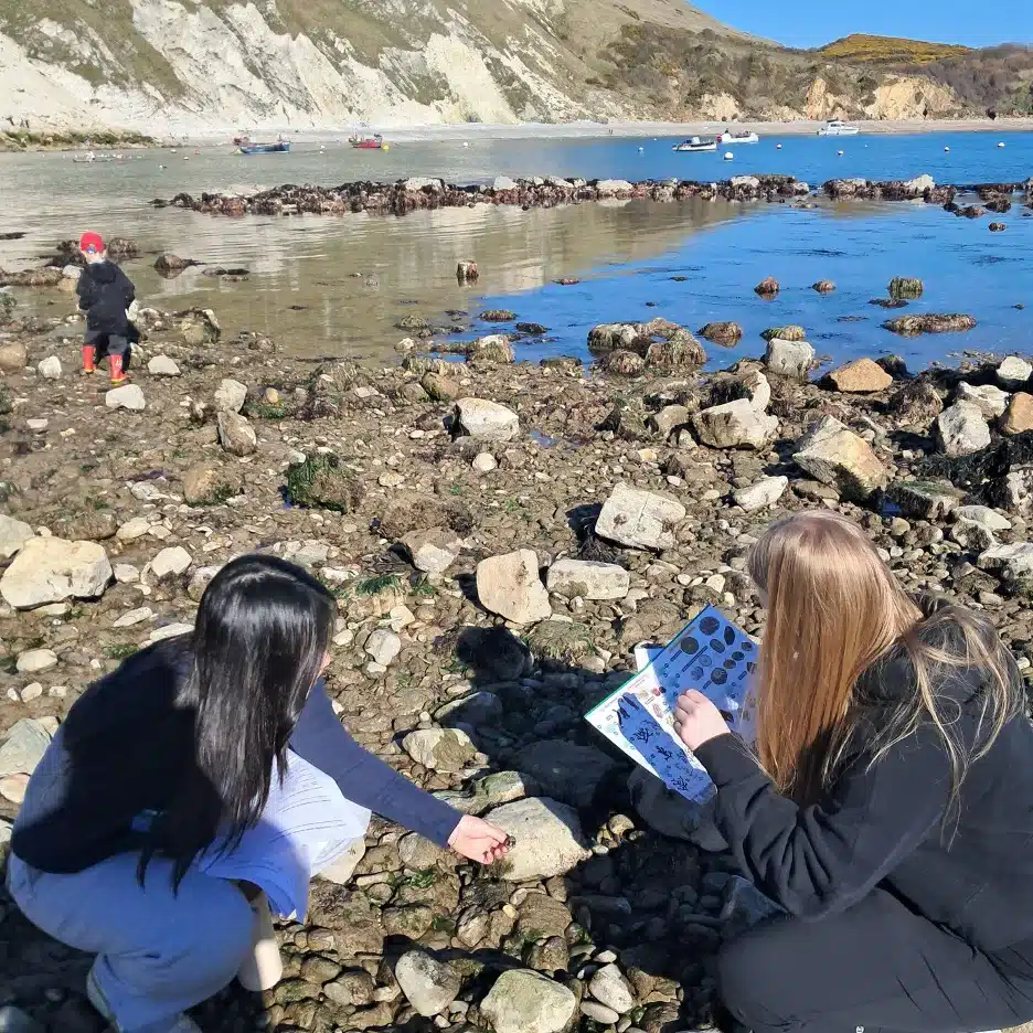 Two people crouch on a rocky beach examining a field guide, possibly identifying marine life. Another person stands near the water in the background. The scene includes rocks, tidal pools, and boats on a calm bay with hills behind.